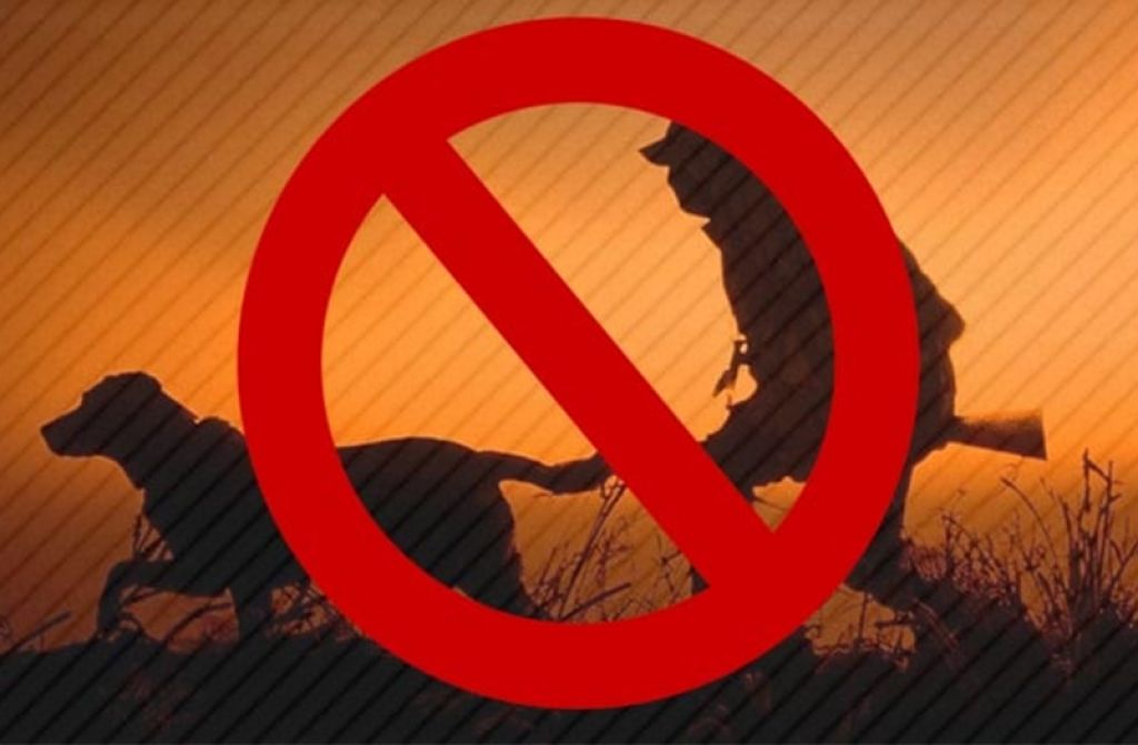 Avlanma Niçin Yasaklanır?