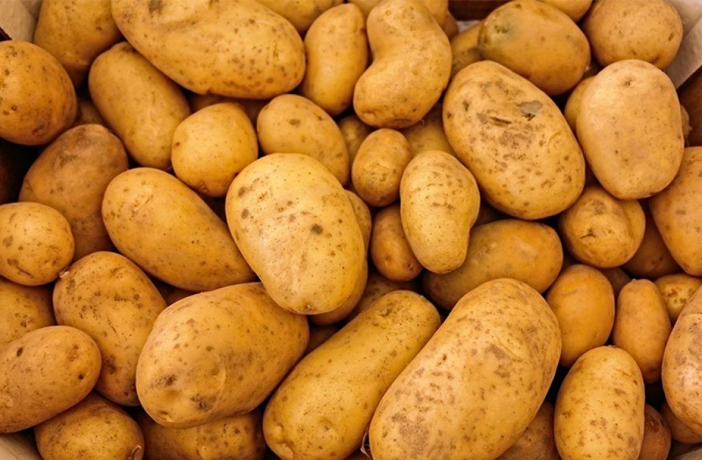 Patatesin Yüzü Neden Delik Deşiktir?