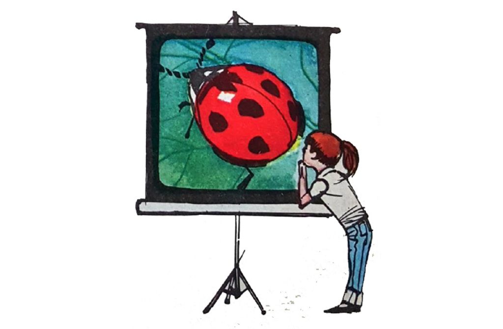 Projeksiyonda Gösterilen Film, Neden Aslından Daha Büyük Görünür? Projeksiyonda Gösterilen Film, Neden Aslından Daha Büyük Görünür?