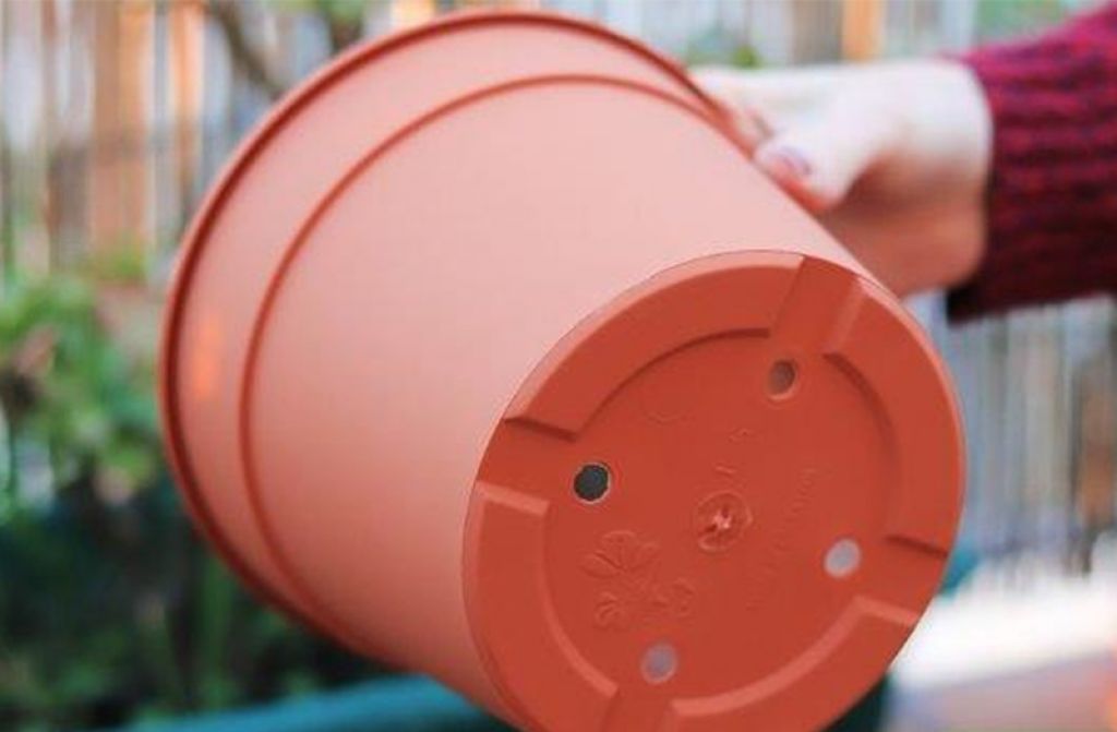 Saksıların Altı Neden Deliktir?