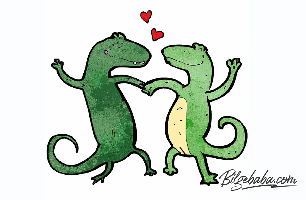 Üreme ve Çiftleşme Süreci Üreme ve Çiftleşme Süreci