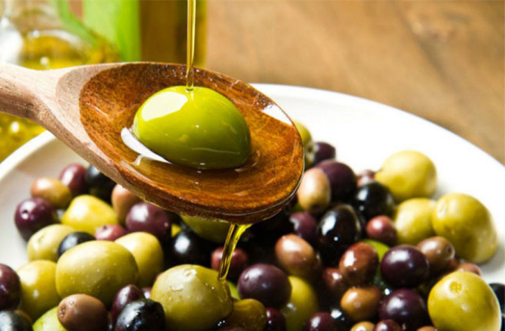 Zeytinler Neden Yeşil veya Siyah Olurlar? Zeytinler Neden Yeşil veya Siyah Olurlar?